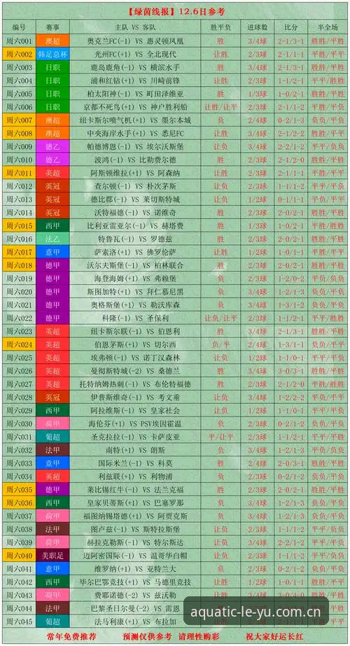 流畅体验APP足球比分直播安装教程：一个行动派用户的完整指南
