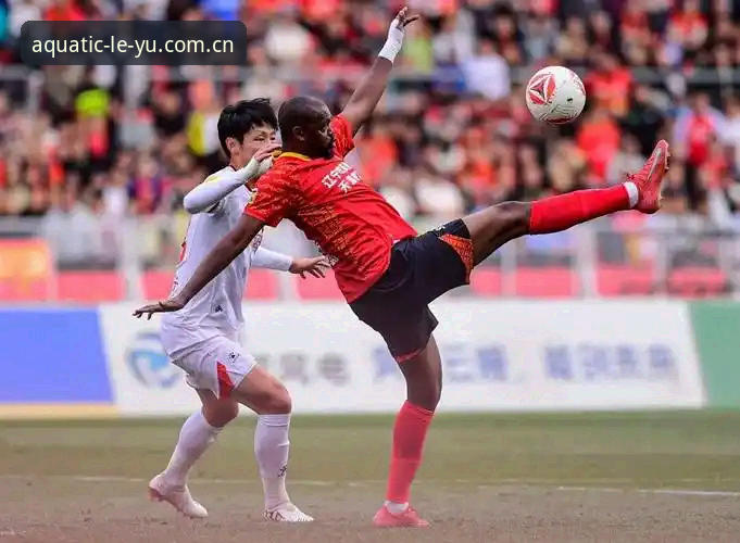 辽宁铁人变阵迷局，一位老球迷用乐鱼APP看完集训后的三点真实心得